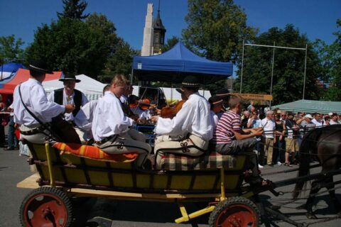X Jarmark Podhalański - parada gazdowska_48